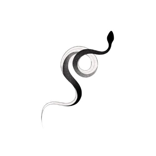 Petit Serpent Élégant